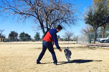 PETsMART Dog Park at Washington Park